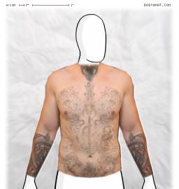 Torso