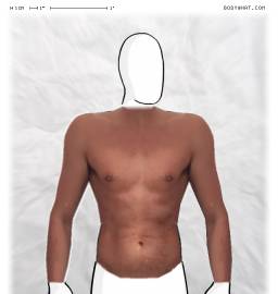 Torso