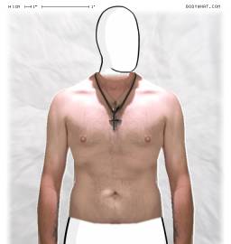 Torso