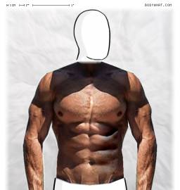 Torso