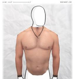 Torso