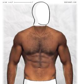 Torso