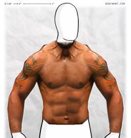 Torso