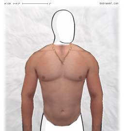 Torso