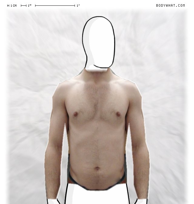Picture 1