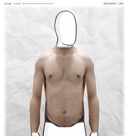 Torso
