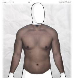 Torso