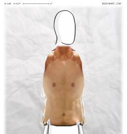 Torso