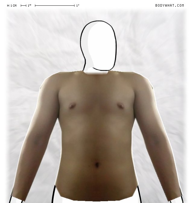 Picture 1