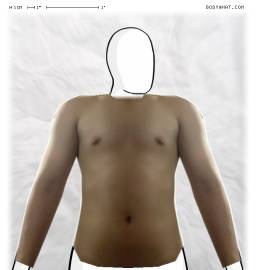 Torso