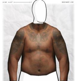 Torso