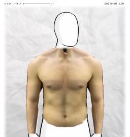 Torso