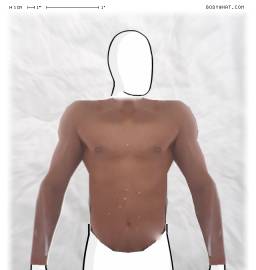 Torso