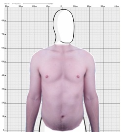 Torso