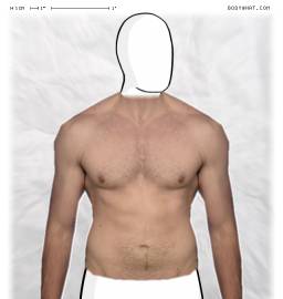 Torso