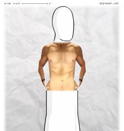 Torso