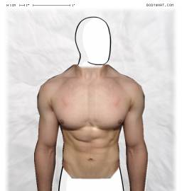 Torso