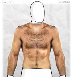 Torso