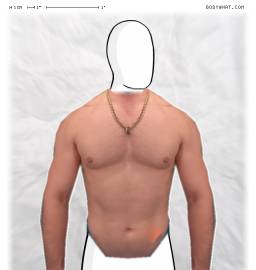 Torso