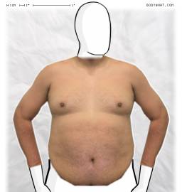 Torso