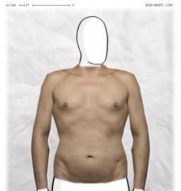 Torso