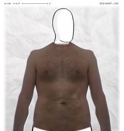 Torso