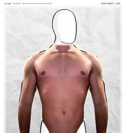 Torso