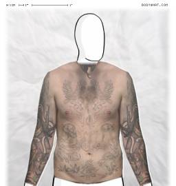 Torso