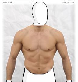 Torso