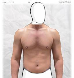 Torso