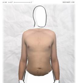 Torso