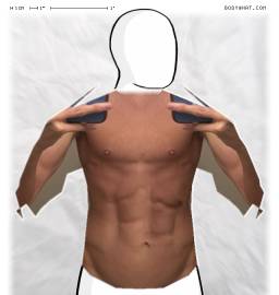 Torso