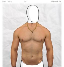 Torso