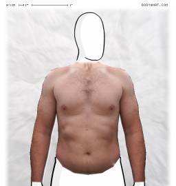 Torso