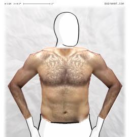 Torso
