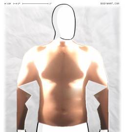 Torso