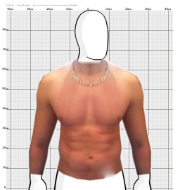 Torso
