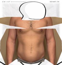 Torso