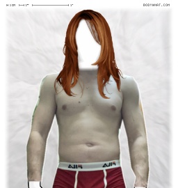 Torso