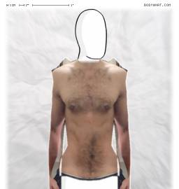 Torso