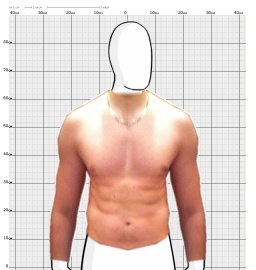 Torso