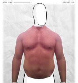 Torso