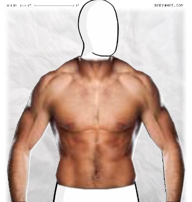 Muscle Morphing