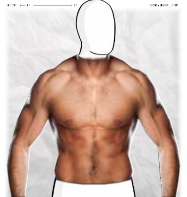 Slim Morphing
