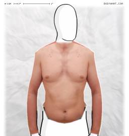 Torso