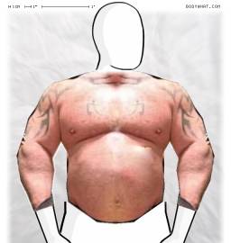 Torso