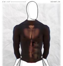 Torso