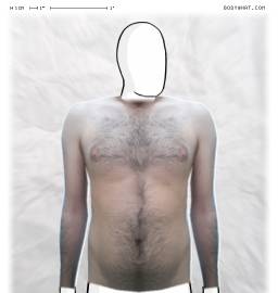 Torso