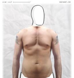 Torso