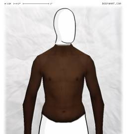 Torso